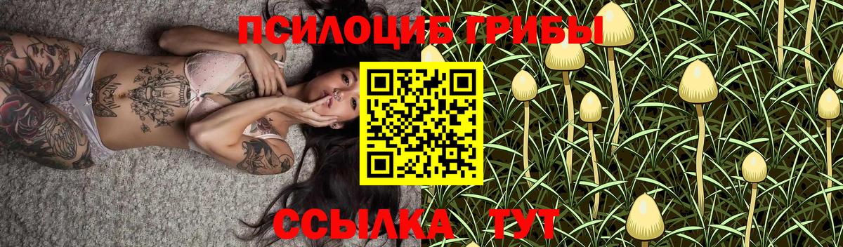 Галлюциногенные грибы мицелий Гудермес