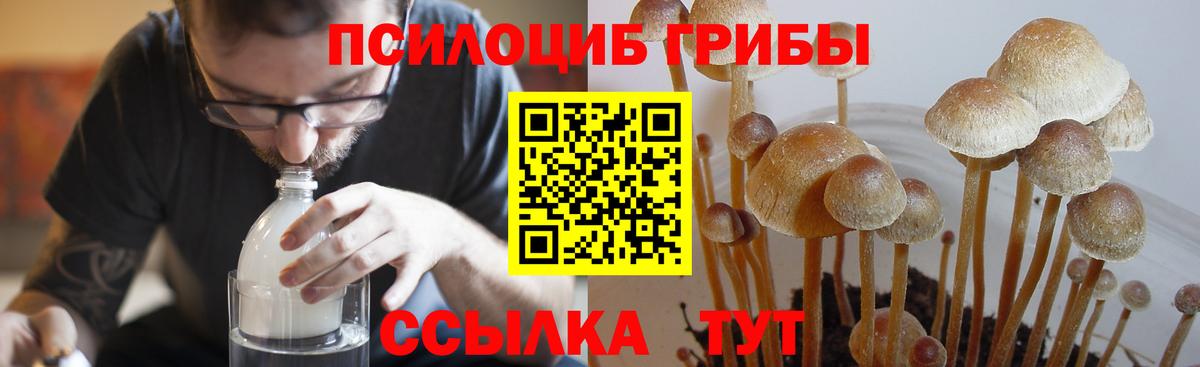 Гудермес  цена   Вход с VPN  Псилоцибиновые грибы ЛСД 